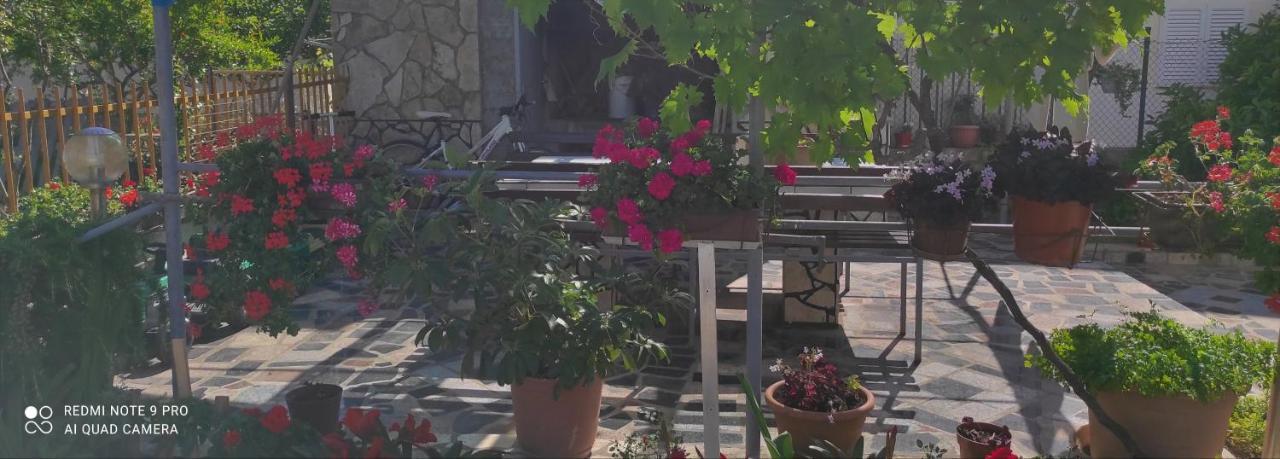Apartament Orhideja *