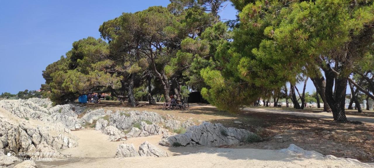 Orhideja Apartament Zadar