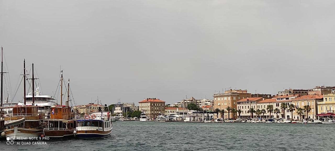 Orhideja Zadar