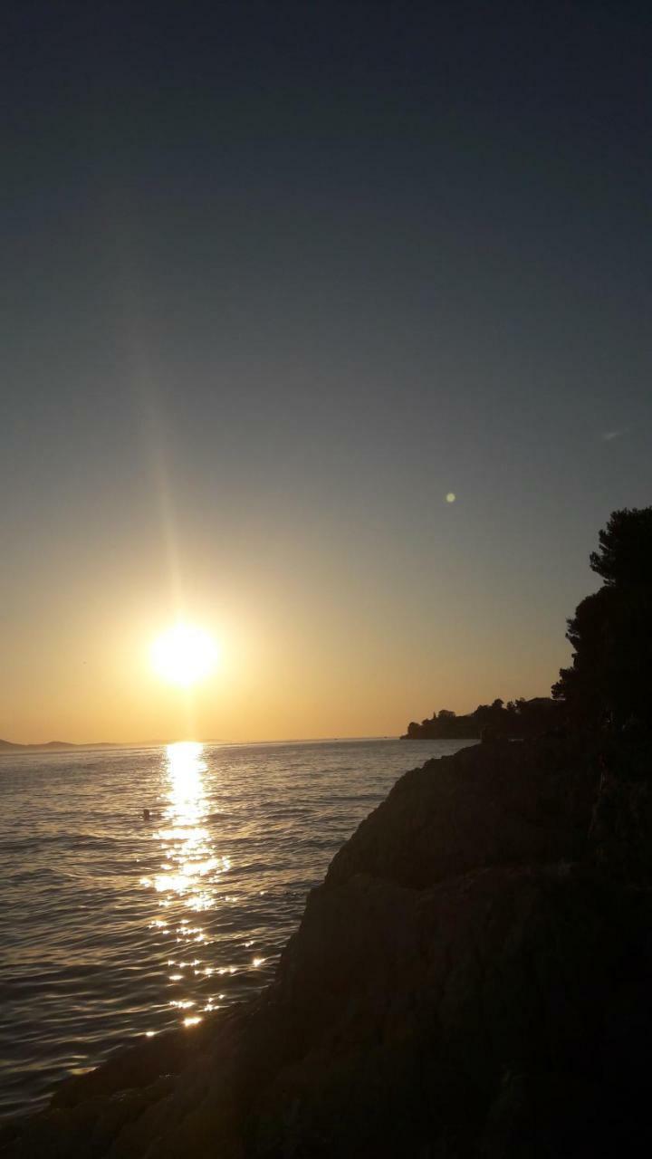 Orhideja * Zadar