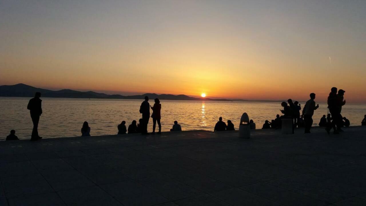 Orhideja * Zadar