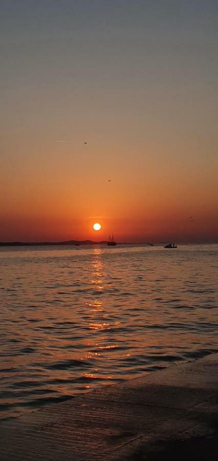 Orhideja Zadar